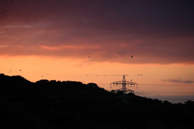 夕焼けにカラスの歌声の写真素材