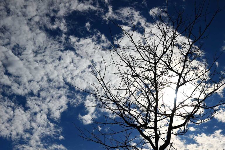 木枯らし背景の写真素材