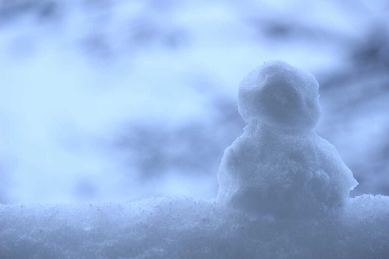 白い夜明けの写真素材