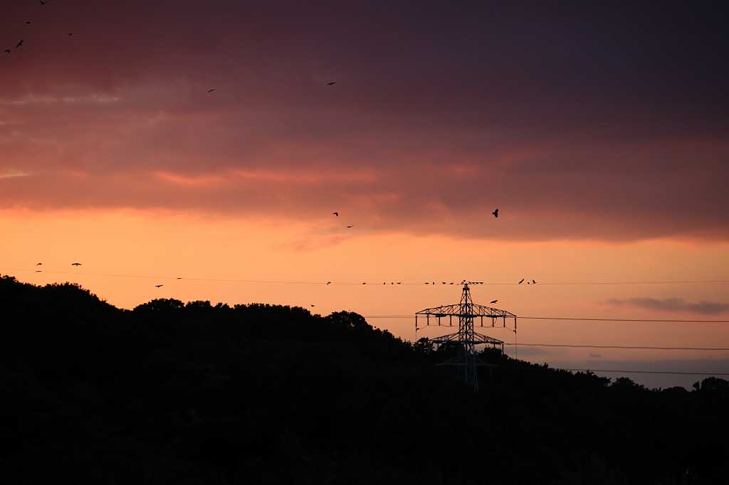 夕焼けにカラスの歌声の写真素材