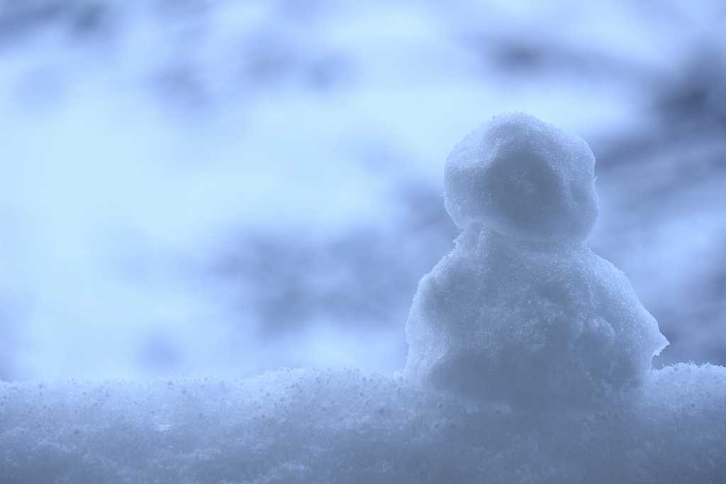 白い夜明けの写真素材