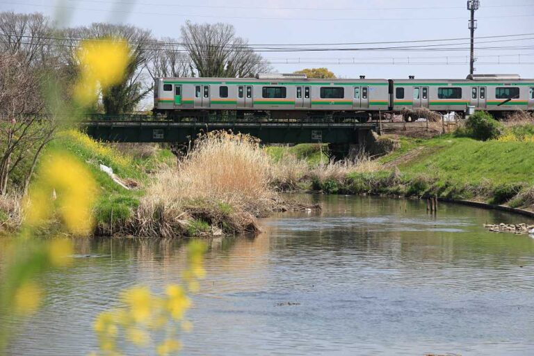 宇都宮線の小春日和の写真素材