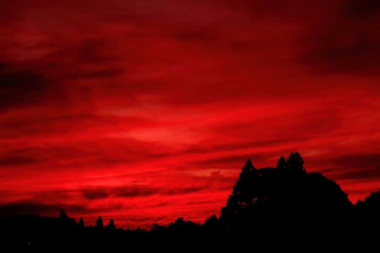 森と空の写真素材