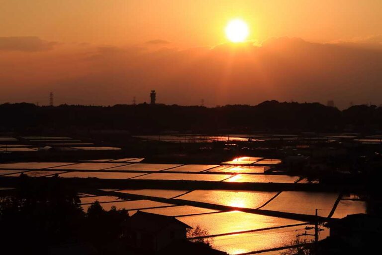 水田と空の写真素材