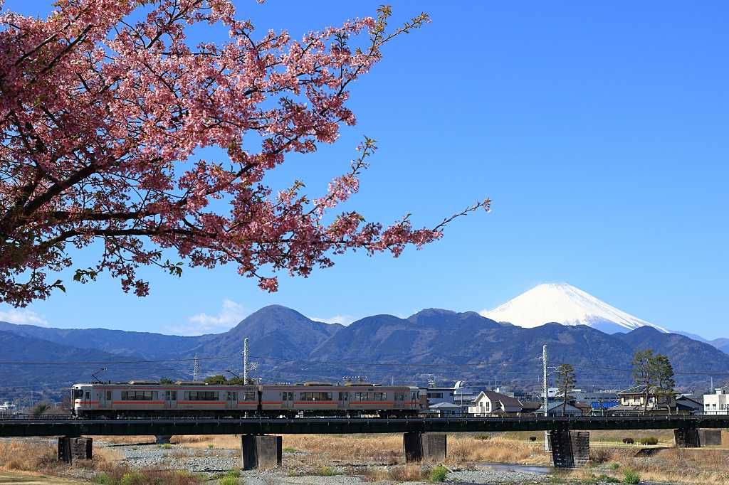 御殿場線は春爛漫の写真素材